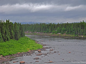 The Beauty of Labradore