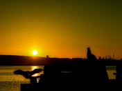 Rise little bird! Rise!