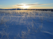 Spectacular Winter Morning