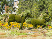 MosaÃ¯Canada 150 Display of horses