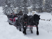 Never too cold to ride