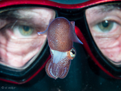 Take Me to Your Leader