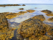 Carter's Beach, Nova Scotia
