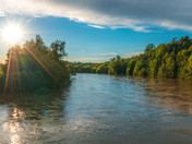 Flooding of the Grand River