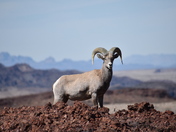 Fancy seeing you here!