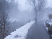 A Winter Walk in The Park