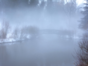 On a Foggy Winters Day