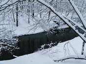 Bending but not breaking