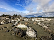 FRAGILE COASTAL & MARINE ECOSYSTEMS