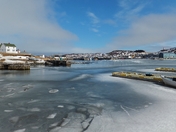 Frosty Harbour