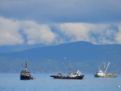 Ready for the herring run