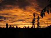 Fire Sunset