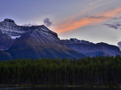 Herbert lake up close 
