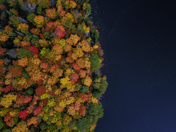 Fall in the Gatineau's