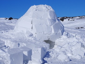 Iglu
