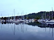 THE MARINA