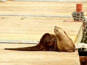 Itching for the long weekend