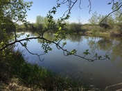 Tranquility and New Life