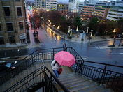 Rainy spring in QuÃ©bec City.
