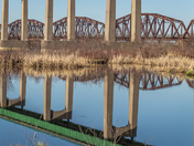 Reflection on the Wetland