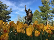 Olympic Statue with Tulips