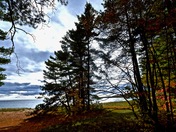 CALM BEFORE THE STORM...