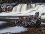 Wood and Water: McGowan Falls