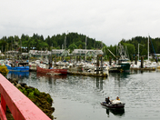 Ucluelet May 2018
