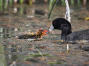 Only a Mother Could Love