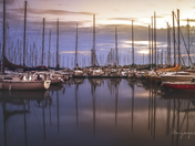 The Peace of Toronto