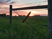 Rural Alberta Fence