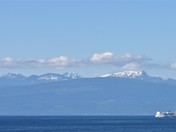 Sailing the BC Ferries