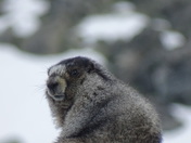 What are you looking at?