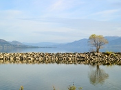 Okanagan Lake