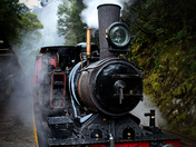 The Historic Lyell No. #