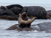Haida Gwai National Park