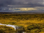 When the sun peaks out...