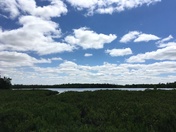 Schmidt Lake/Greenock Swamp