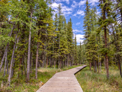 The northern boardwalk