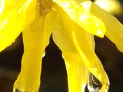 Reflection in the raindrop