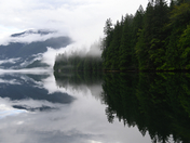 Tazoonie British Columbia