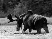  There truly are monsters out there.