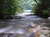 Tazoonie British Columbia