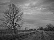 An abandoned farm in Winnipeg, Canada