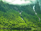The Oligotrophic Western Brook Pond