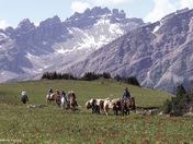 Trail riders in an alpine meadow