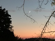 Crescent Moon 