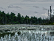 Peaceful Easy Feeling