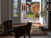 You've got a friend !