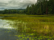 Lanark Ontario Watershed